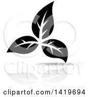Poster, Art Print Of Black And White Plant Leaves With A Reflection
