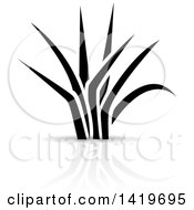 Poster, Art Print Of Black And White Grass With A Shadow