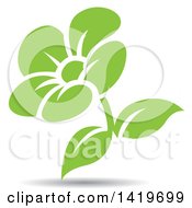 Poster, Art Print Of Green Flower With A Shadow