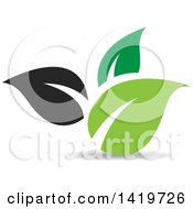 Poster, Art Print Of Black And Green Plant Leaves