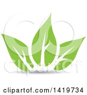 Poster, Art Print Of Green Leaves