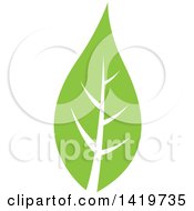 Clipart Of A Green Leaf Royalty Free Vector Illustration