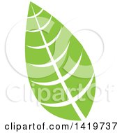 Poster, Art Print Of Green Leaf