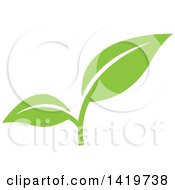 Clipart Of Green Leaves Royalty Free Vector Illustration