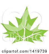 Poster, Art Print Of Green Maple Leaf