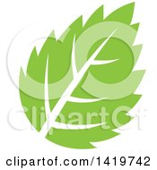 Clipart Of A Green Leaf Royalty Free Vector Illustration