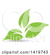 Clipart Of Green Leaves Royalty Free Vector Illustration