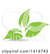 Poster, Art Print Of Green Leaves