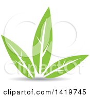 Poster, Art Print Of Green Leaves