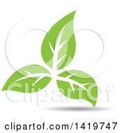 Clipart Of Green Leaves Royalty Free Vector Illustration by cidepix