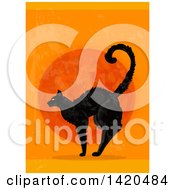 Poster, Art Print Of Scared Black Cat Against A Full Moon On Orange