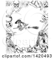 Poster, Art Print Of Sketched Black And White Flying Witch In A Border