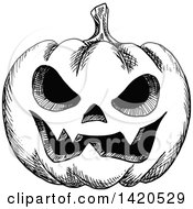 Clipart Of A Sketched Black And White Halloween Jackolantern Pumpkin Royalty Free Vector Illustration