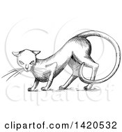 Clipart Of A Sketched Black And White Cat Royalty Free Vector Illustration