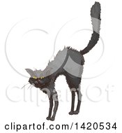 Clipart Of A Sketched And Color Filled Black Cat Royalty Free Vector Illustration