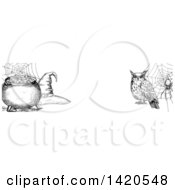 Poster, Art Print Of Header Website Banner Of A Sketched Owl Spider Witch Hat And Cauldron