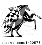 Poster, Art Print Of Black And White Horse With A Checkered Racing Flag Mane