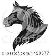 Poster, Art Print Of Tough Gray Horse Head