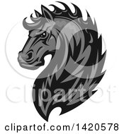 Poster, Art Print Of Tough Gray Horse Head