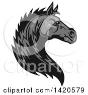Poster, Art Print Of Tough Gray Horse Head