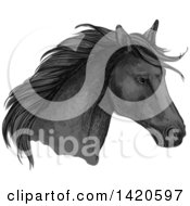 Poster, Art Print Of Sketched And Color Filled Black Horse Head