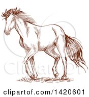 Clipart Of A Sketched Brown Horse Royalty Free Vector Illustration