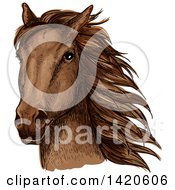 Poster, Art Print Of Sketched And Color Filled Brown Horse Head