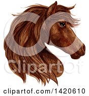 Poster, Art Print Of Sketched And Color Filled Brown Horse Head