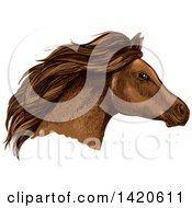 Poster, Art Print Of Sketched And Color Filled Brown Horse Head