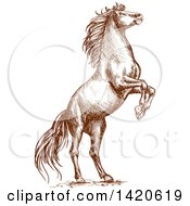 Poster, Art Print Of Sketched Brown Horse Rearing