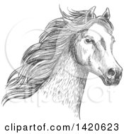 Clipart Of A Sketched Gray Horse Head Royalty Free Vector Illustration