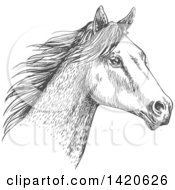 Clipart Of A Sketched Gray Horse Head Royalty Free Vector Illustration