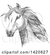 Poster, Art Print Of Sketched Gray Horse Head