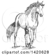 Poster, Art Print Of Sketched Gray Horse