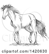 Clipart Of A Sketched Gray Horse Royalty Free Vector Illustration