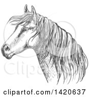 Poster, Art Print Of Sketched Gray Horse Head