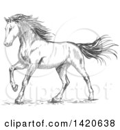 Poster, Art Print Of Sketched Gray Horse