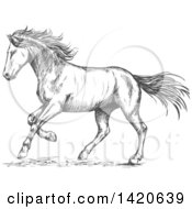 Poster, Art Print Of Sketched Gray Horse