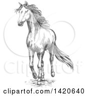 Poster, Art Print Of Sketched Gray Horse