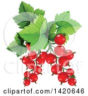 Poster, Art Print Of Red Currants And Leaves