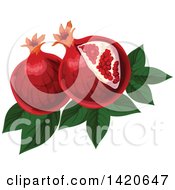 Clipart Of Pomegranates Leaves And Seeds Royalty Free Vector Illustration by Vector Tradition SM