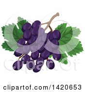 Poster, Art Print Of Bunch Of Purple Grapes And Leaves
