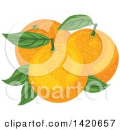 Poster, Art Print Of Navel Oranges And Leaves