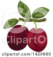 Poster, Art Print Of Plums On A Branch