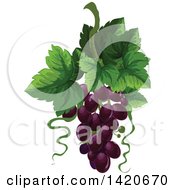 Poster, Art Print Of Bunch Of Purple Grapes And Leaves