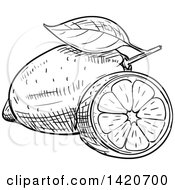Clipart Of A Black And White Sketched Lemon Royalty Free Vector Illustration
