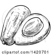 Clipart Of A Black And White Sketched Avocado Royalty Free Vector Illustration