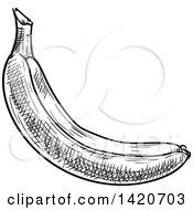 Clipart Of A Black And White Sketched Banana Royalty Free Vector Illustration