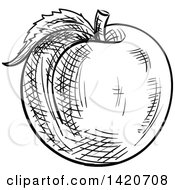 Poster, Art Print Of Black And White Sketched Apricot Peach Or Nectarine