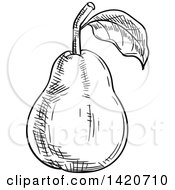 Poster, Art Print Of Black And White Sketched Pear